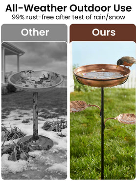 Hotbird detachable bowl design enabling quick cleaning and fresh water for birds