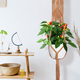 Hoteam macrame hangers fit pots 10-25 cm for versatile arrangements