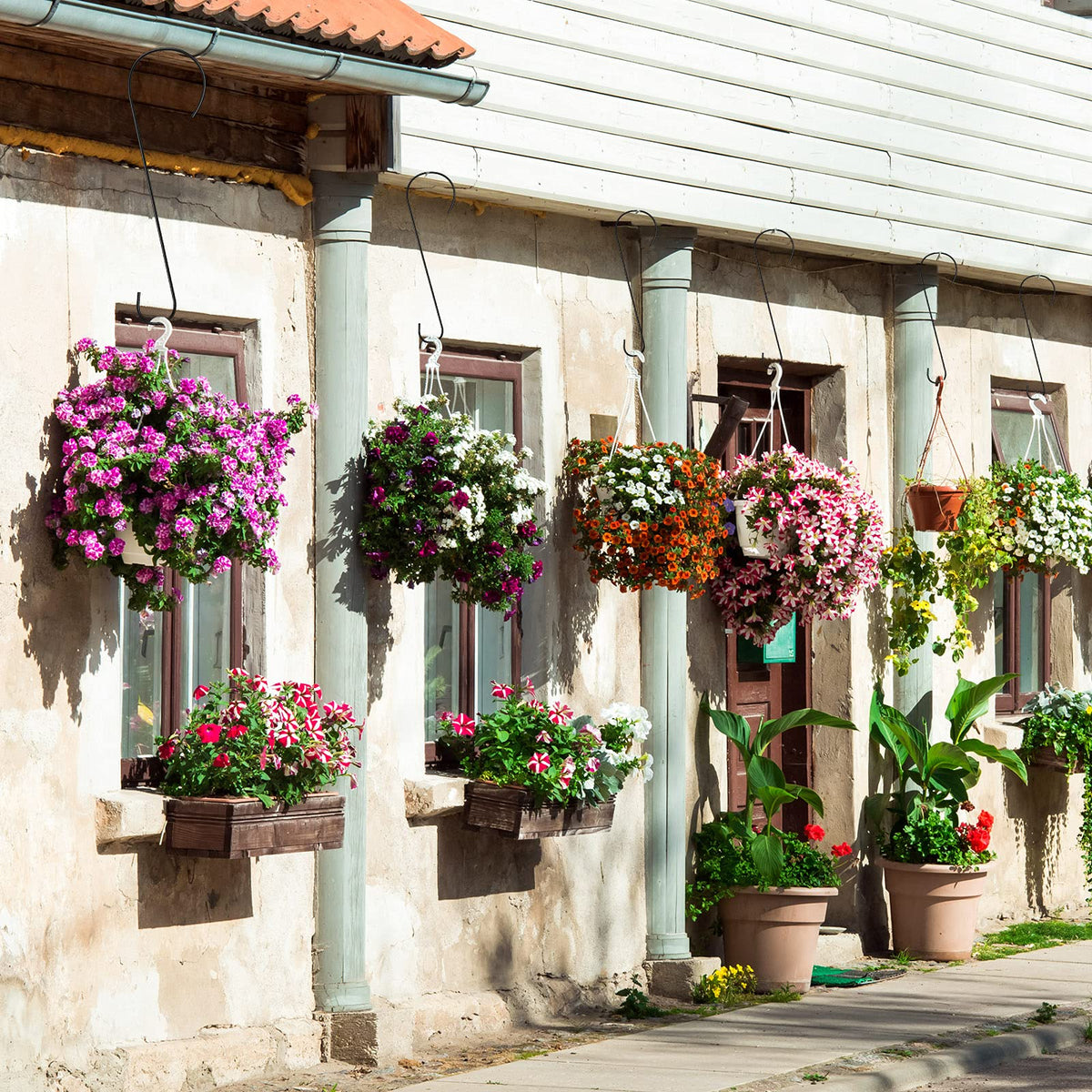 Hotop heavy-duty S-hooks resist rust for outdoor decorations.