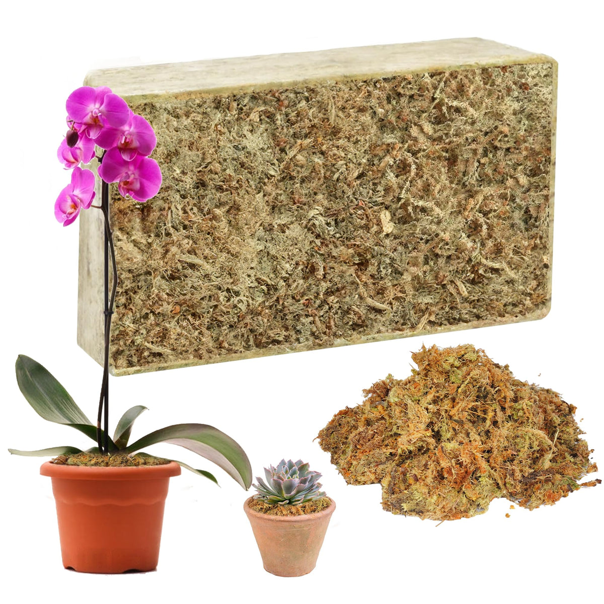 Hourleey sphagnum moss brick before soak; expands when watered.