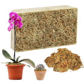Hourleey sphagnum moss brick before soak; expands when watered.