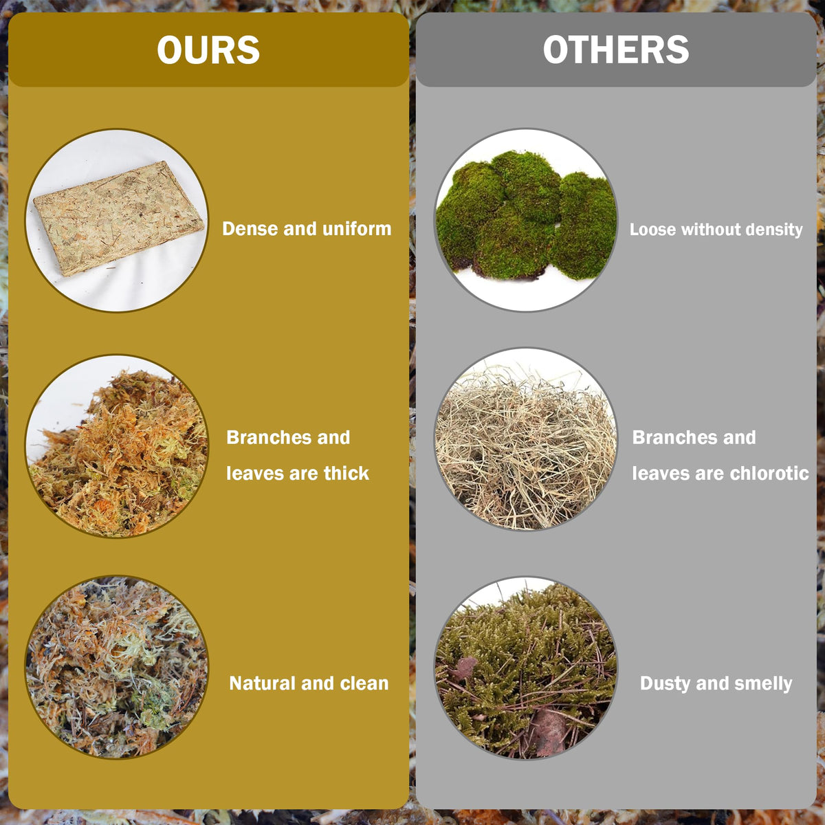 Hourleey sphagnum moss brick dimensions help plan potting.