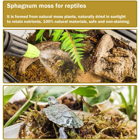 Hourleey moss supports orchids and ferns' roots.