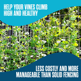 Houseables cut flower support netting keeps delicate blooms supported during growth.