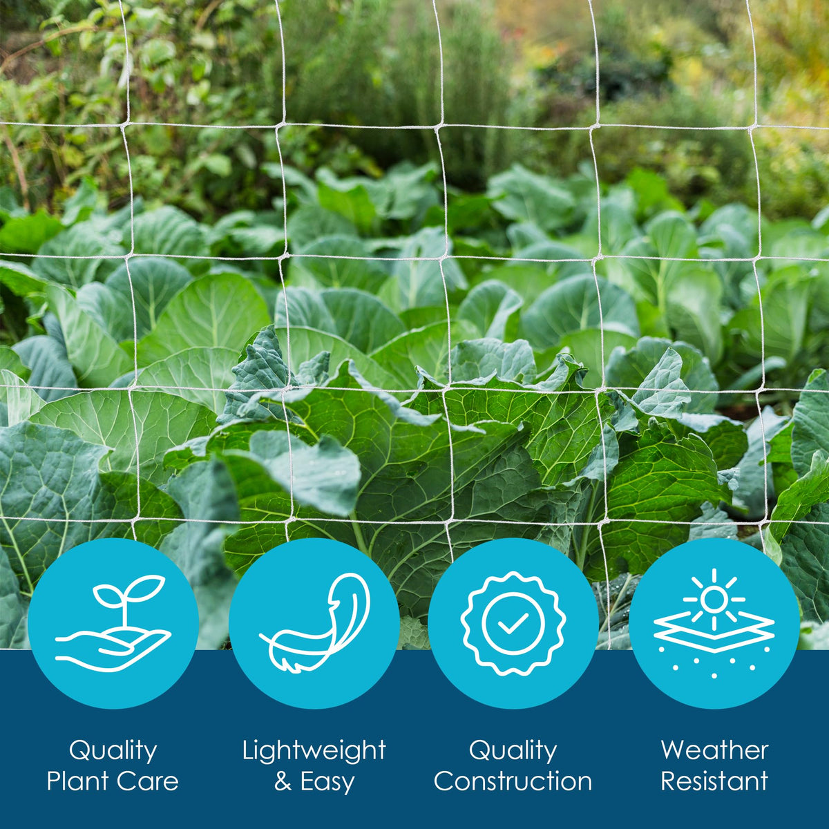 Houseables garden netting installation on tents or frames for versatile climbing plants.