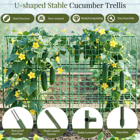 The 2m x 3m garden net included offers optimized airflow and sunlight for healthy vine growth.
