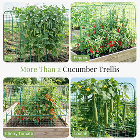 66.7 by 48.4 inch footprint fits most gardens, patios, and vegetable plots.