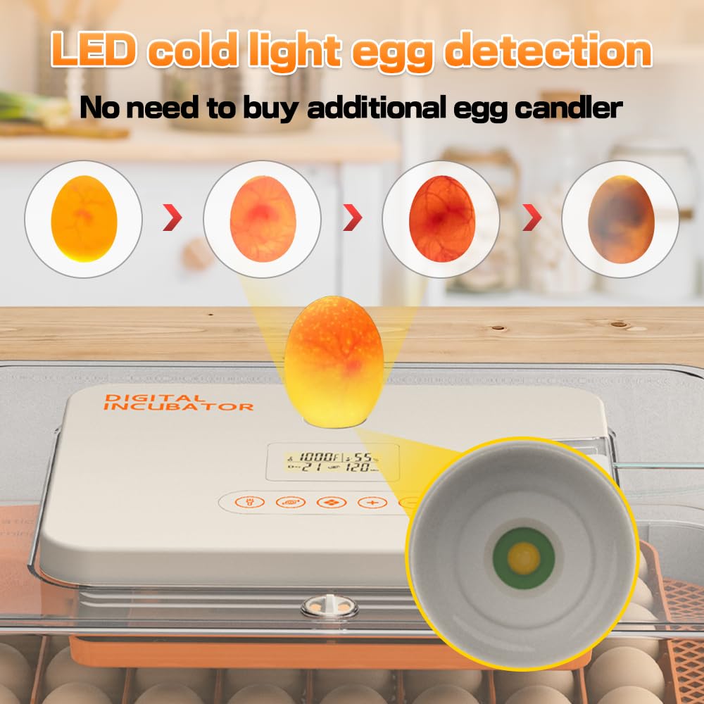 Howooiua 56-egg incubator adjustable egg tray for various egg sizes.