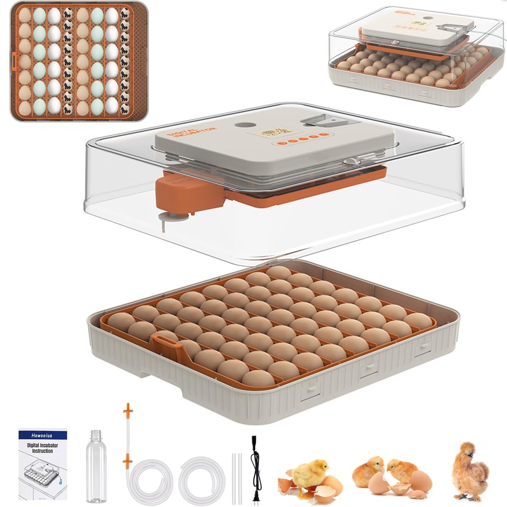 Howooiua 56-egg incubator front control panel with real-time temp and humidity readout.