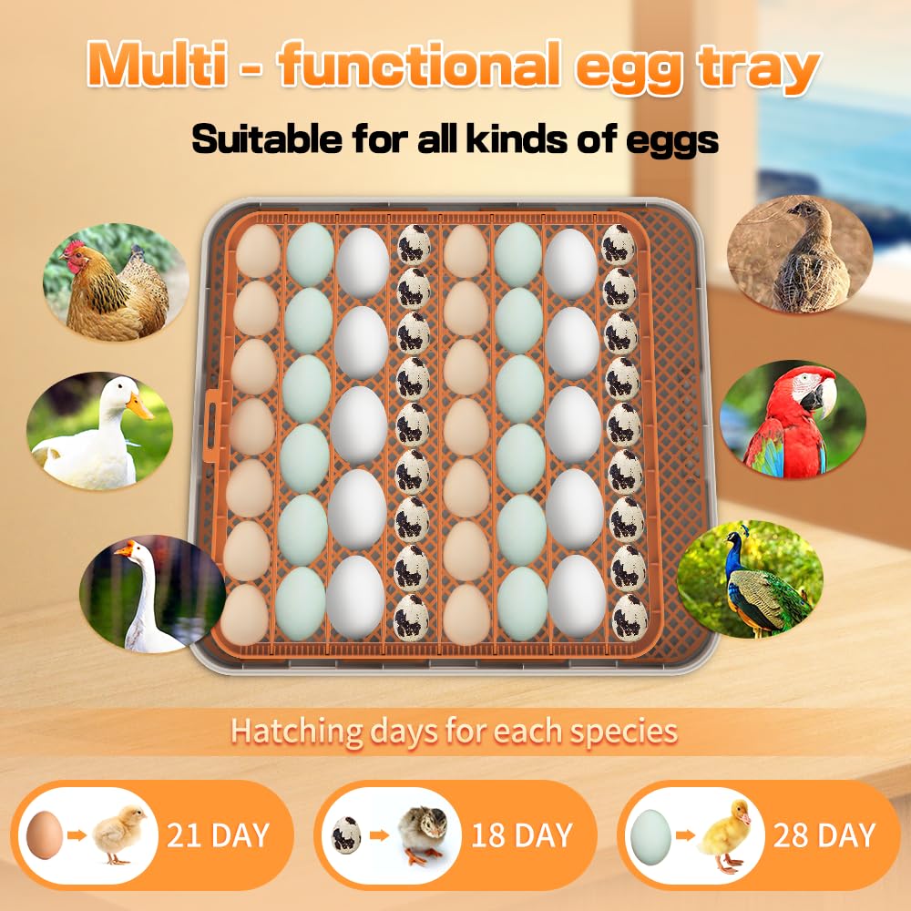 Howooiua 56-egg incubator optimized airflow and ventilation system.