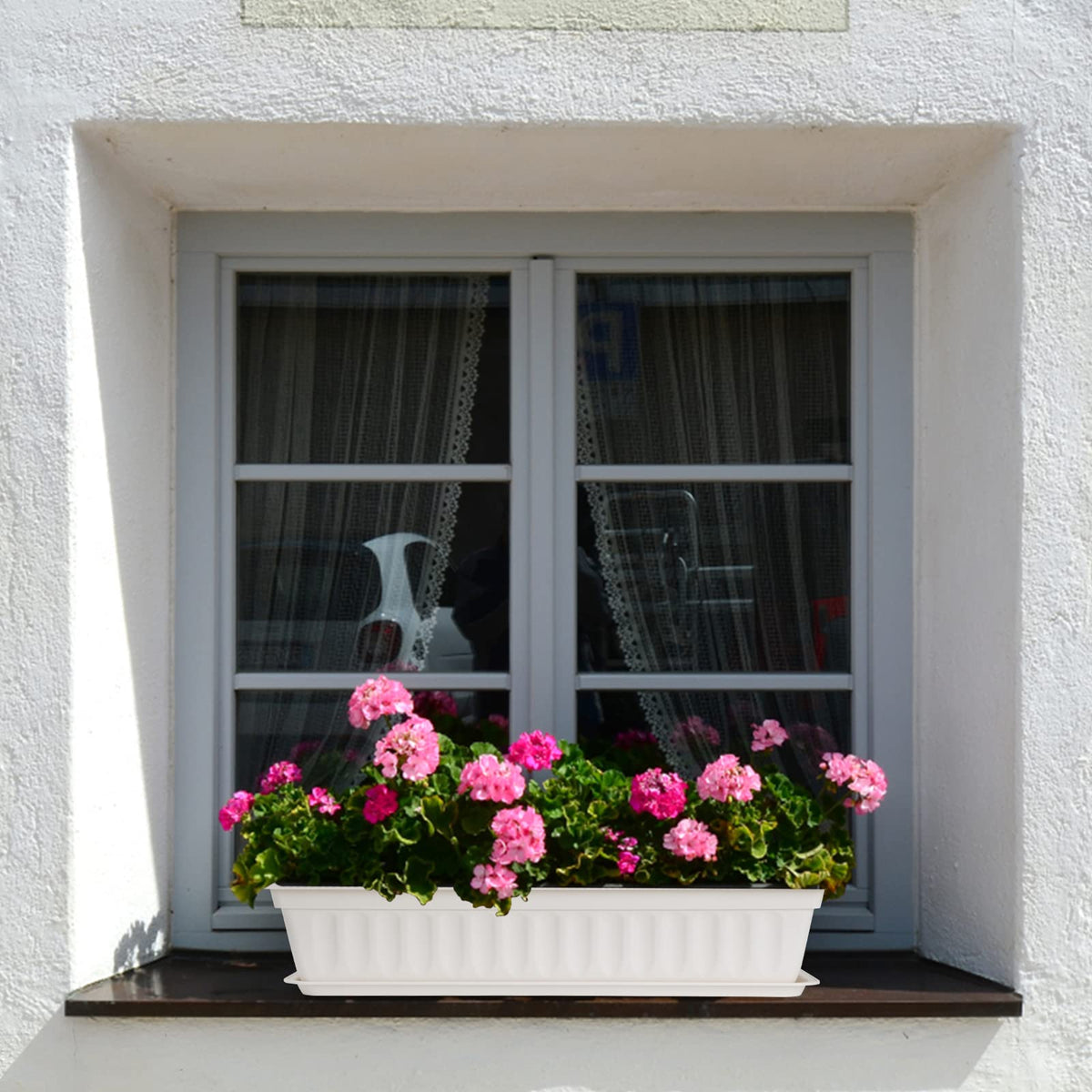 HOXHA wide rectangular planter fits narrow windowsills and balconies for vegetables.