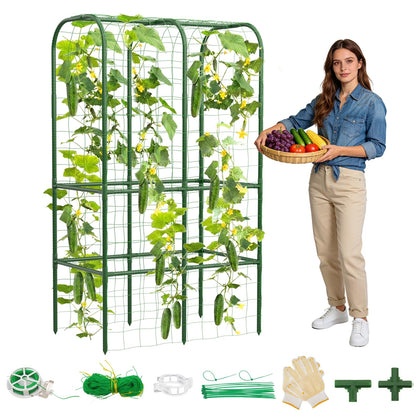 Hoyejyou 62-inch tall cucumber trellis supports climbing cucumbers with sturdy stability.