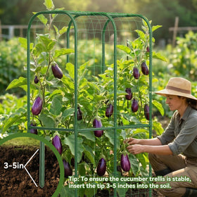 Hoyejyou trellis supports cucumbers, peas, and beans for healthy growth.