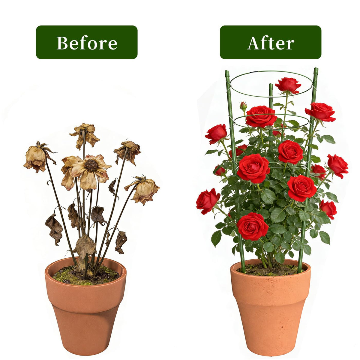 Hoyejyou easy-install design features sharpened stake points for quick soil insertion.