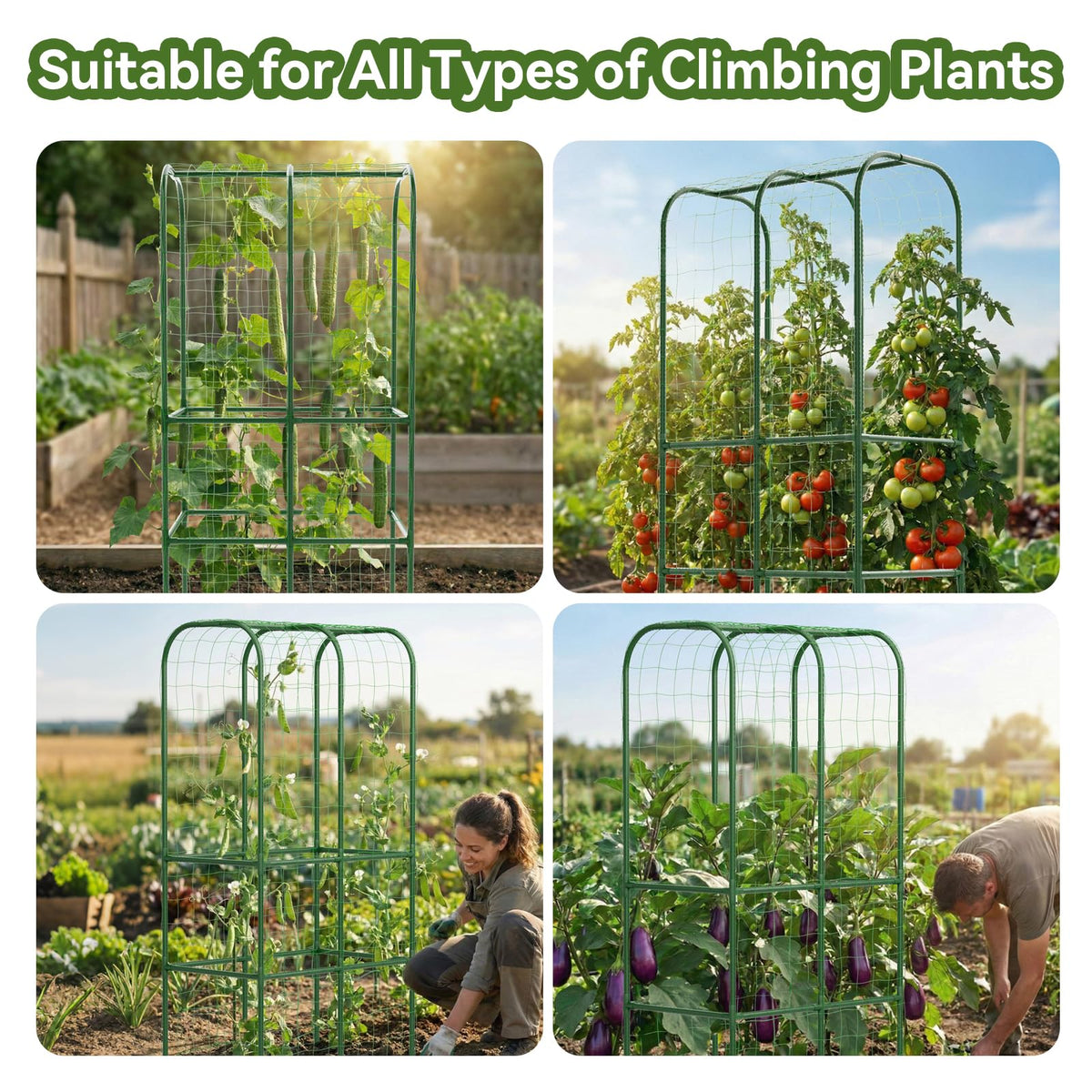 Hoyejyou easy-installation trellis simplifies setup with a cross-shaped connector.