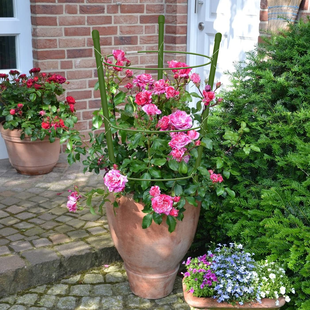 Hoyejyou garden cage ideal for pruning and easy harvesting in small beds.