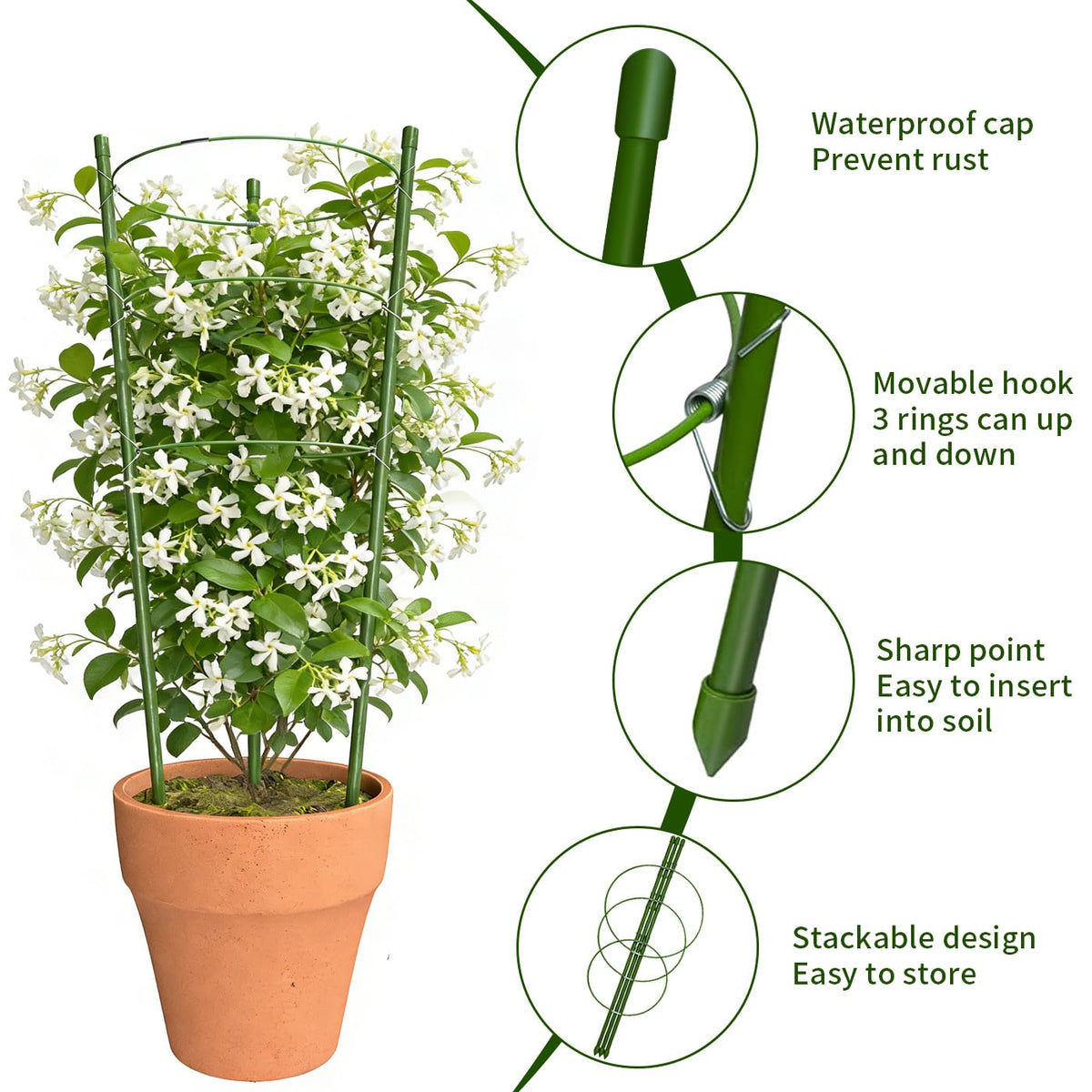Hoyejyou rust-resistant steel cage protects vines against wind and rain.