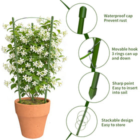 Hoyejyou rust-resistant steel cage protects vines against wind and rain.