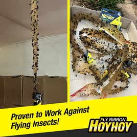 HOY HOY Fly Ribbon in garden use delivers flexible outdoor pest control.