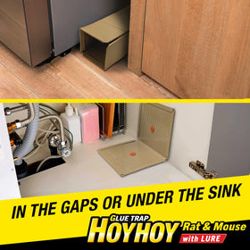 Kitchen and storage areas benefit from HOY HOY chemical-free design