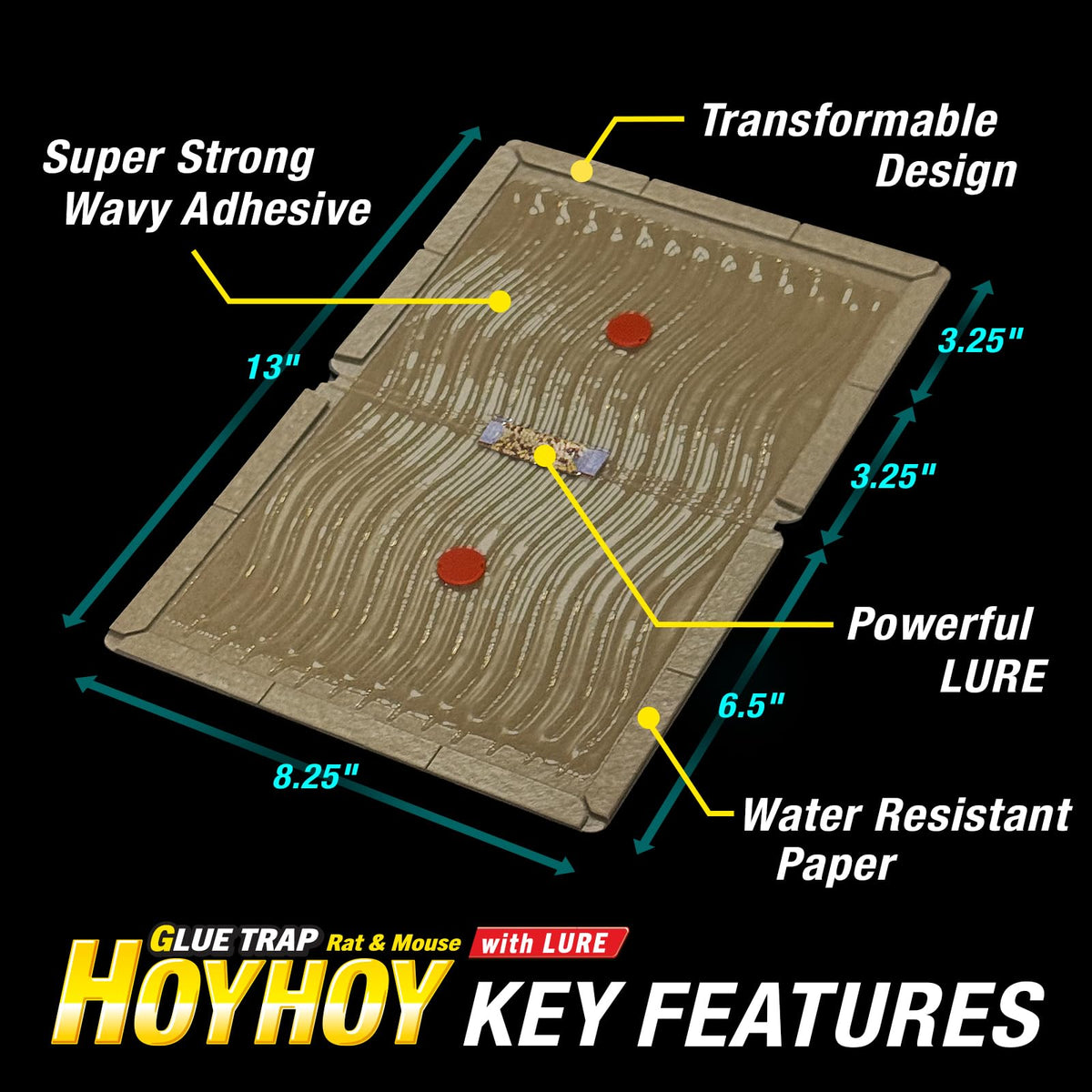 Flat setup option on HOY HOY traps for easy placement