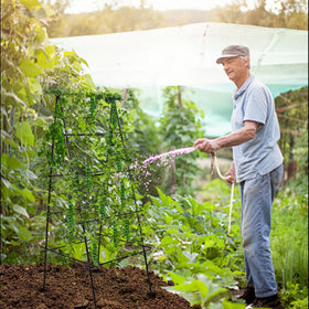 HPC Decor 6ft trellis height helps tall plants like beans reach toward sun.
