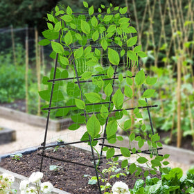 HPC Decor a-frame trellis vertical-gardening setup supports climbing vines in small spaces.