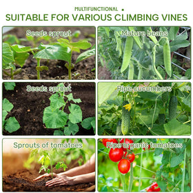 HPC Decor climbing-plant-support trellis guides vines for tidy, easy picking.