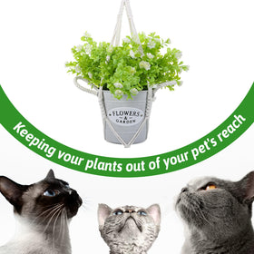 Hpmjz boho macrame hanger in living room creates warm plant nook.