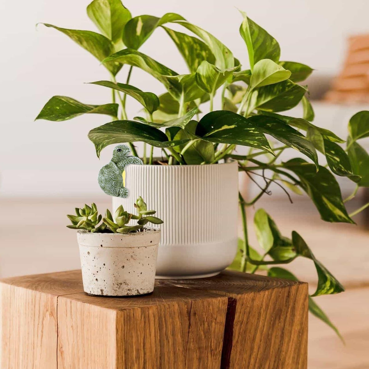 Hpmjz cute tortoise planter decor suits small pots