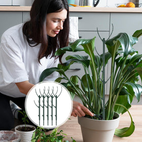 HPMJZ height-adjustable stakes enable scalable training for growing vines.