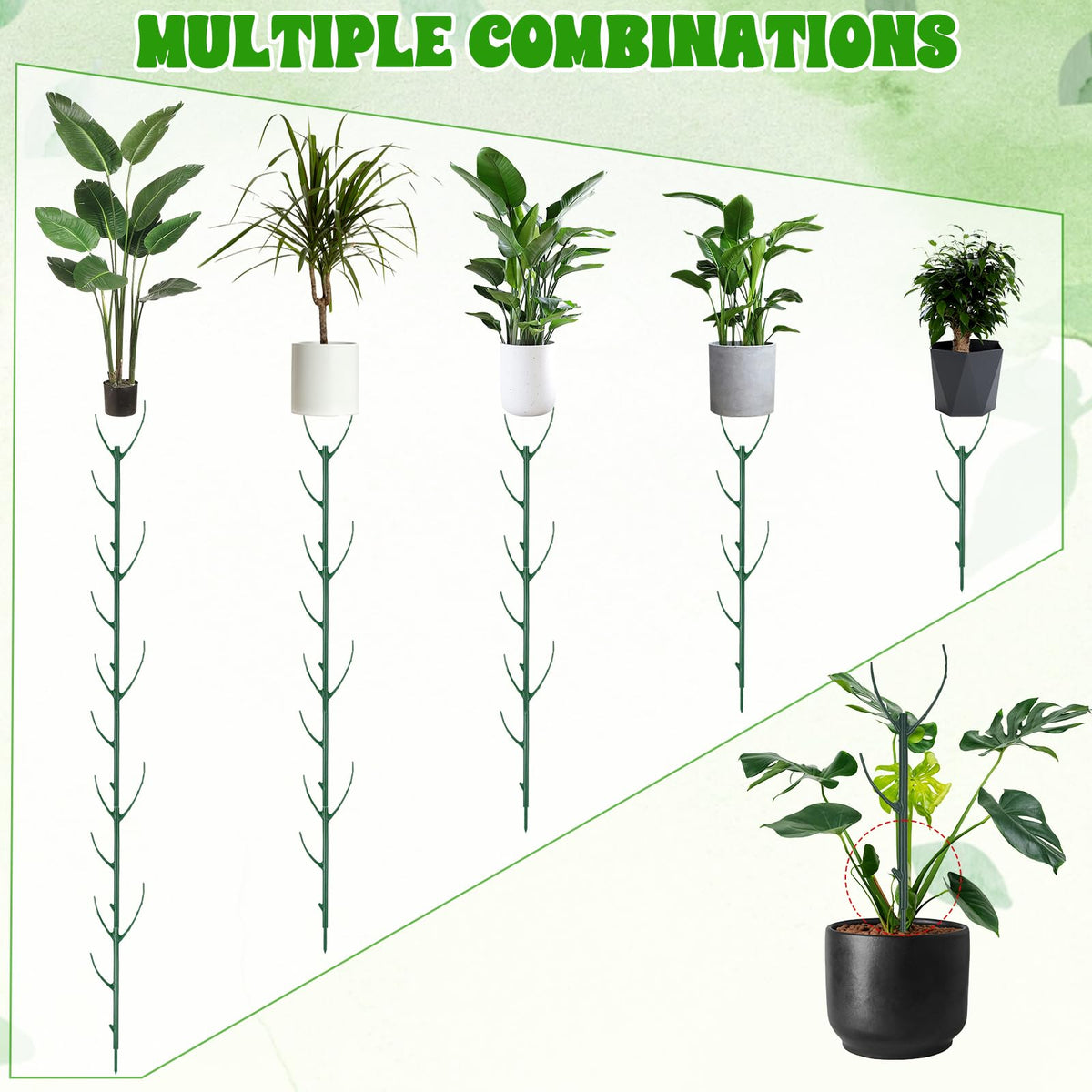 HPMJZ indoor potted plant support keeps stems upright under natural light.