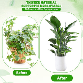 HPMJZ outdoor plant stake stabilizes climbing plants in garden settings.