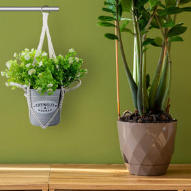 Hpmjz vertical space saving hanger lifts plants up.