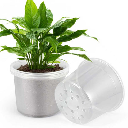HQAUT 10-inch clear nursery pot with drainage holes supports healthy root airflow.