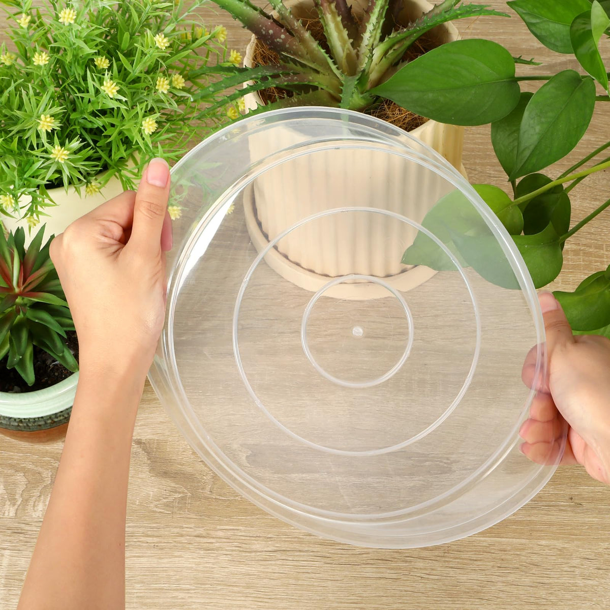 HQAUT 10-inch clear plant saucer ideal for larger pots and spill containment.