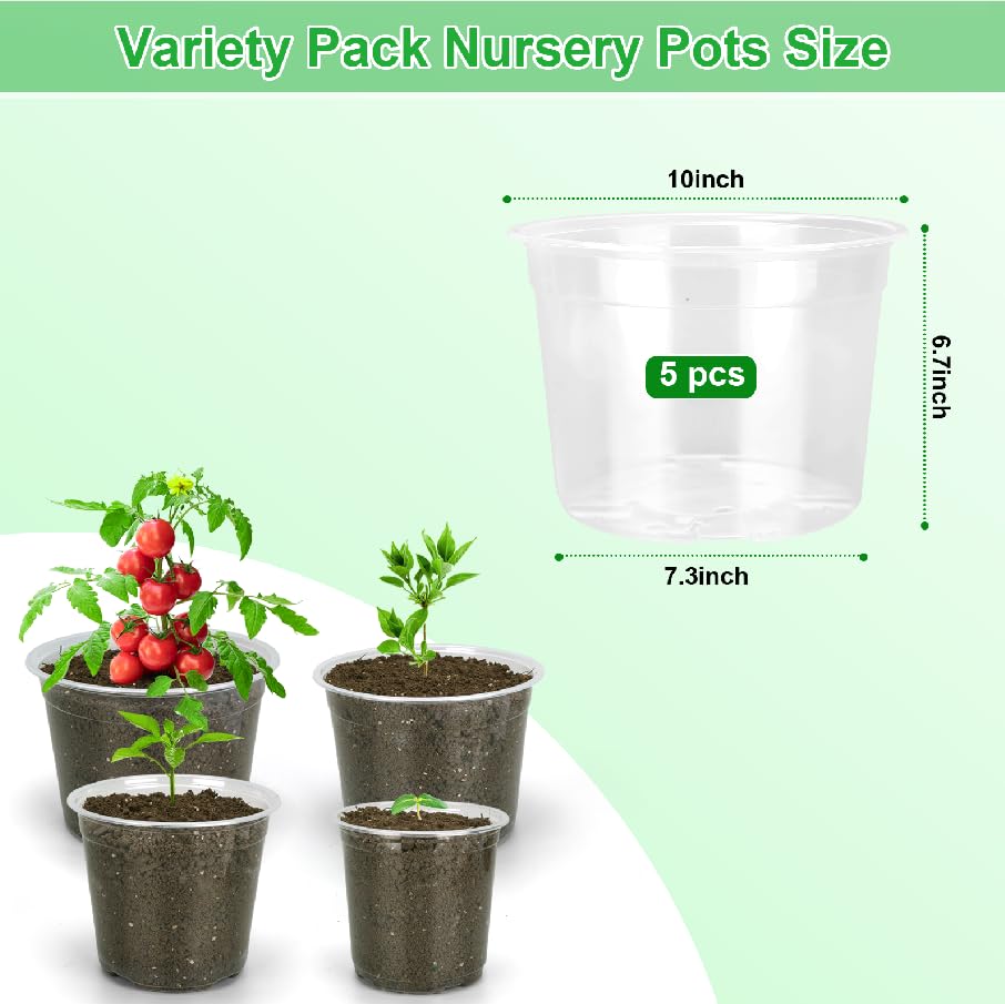 HQAUT 10-inch clear seedling starter pot shows root-check visibility.