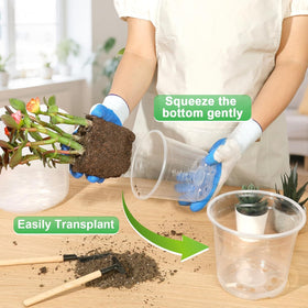 HQAUT multipurpose pot suitable for indoor-outdoor transplant and succulents.