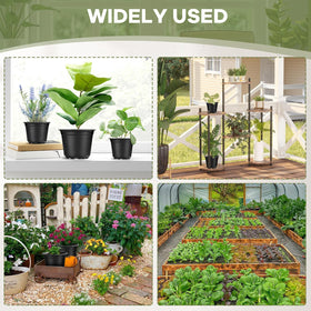 HQAUT root-friendly design promotes respiration and healthy transplanting.