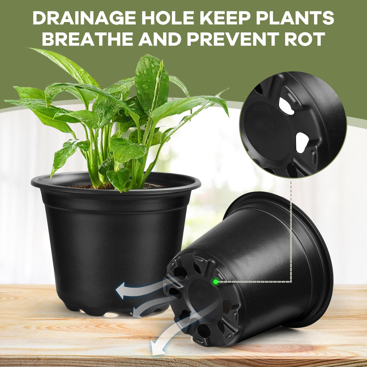 HQAUT soft, durable plastic nursery pot enables reuse and easy handling.
