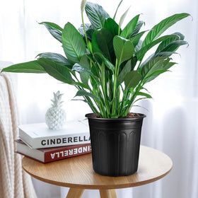HQAUT stackable design saves space when pots are not in use