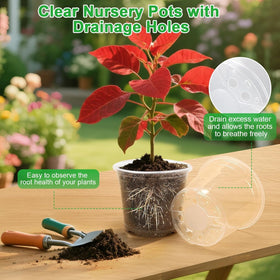 HQAUT transparent nursery pot enables easy root monitoring and sun exposure.