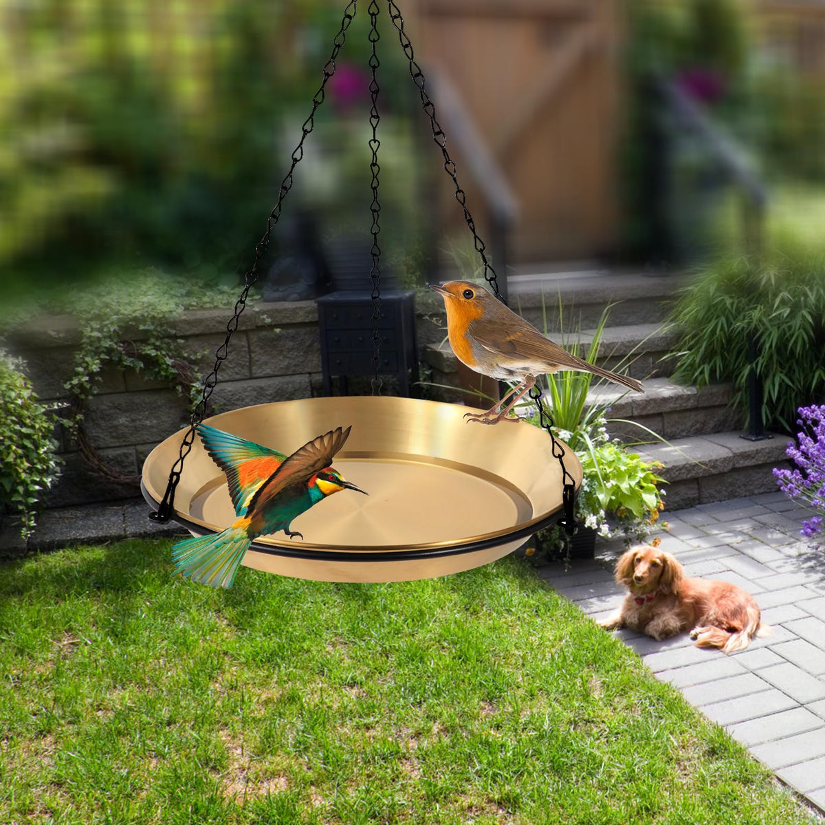 HRAYLTOP easy-clean design makes rinsing and drying effortless after bird visits.