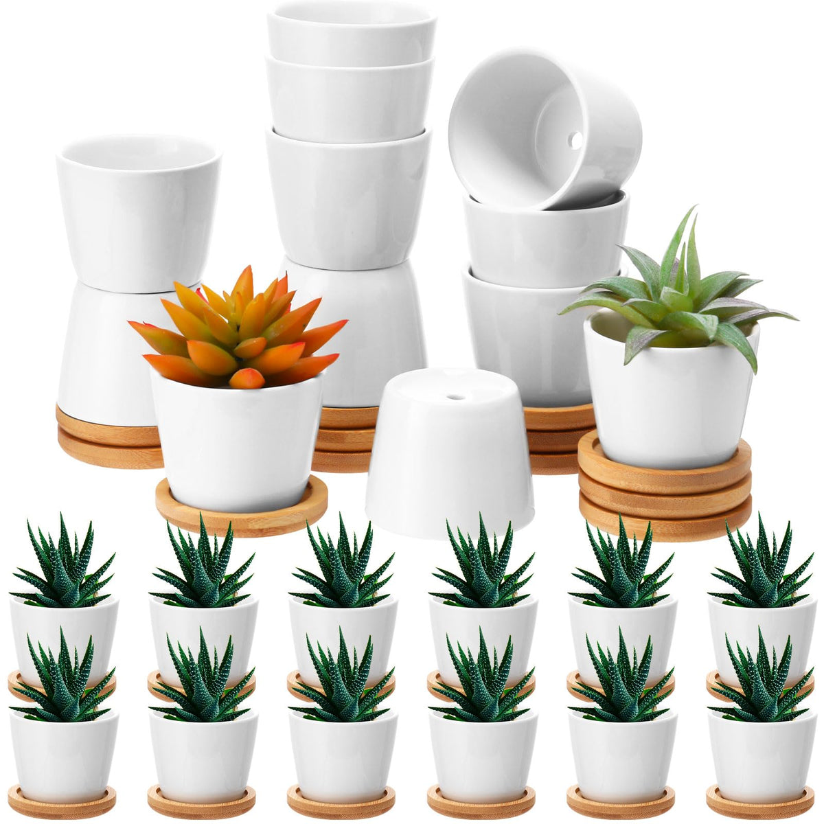 Hsei 24-pack white ceramic mini pots with bamboo trays for wedding favors and home decor.