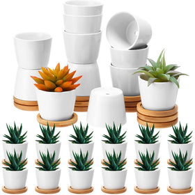 Hsei 24-pack white ceramic mini pots with bamboo trays for wedding favors and home decor.