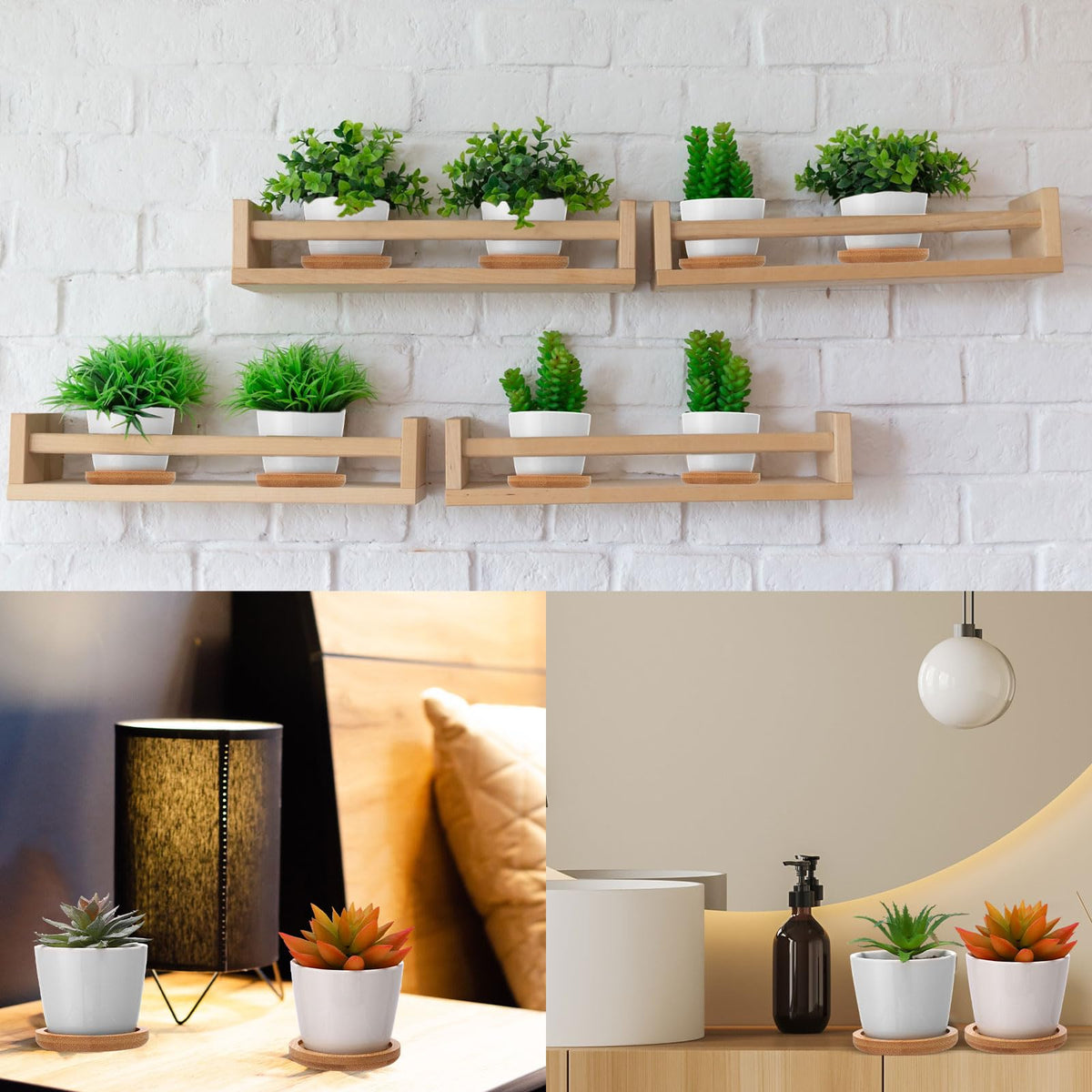 Hsei dorm-friendly succulent pots on window sills and desks for students.