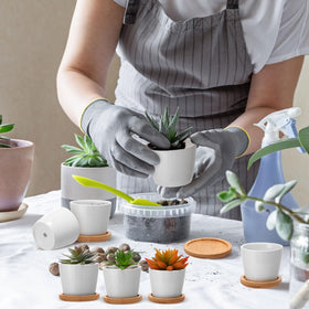 Hsei mini pots styled on a table for weddings, gifts, or home decor.