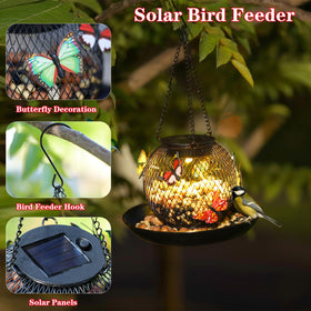 HSEONEJIA hollow-design bird feeder shows seed level for easy refills