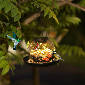 HSEONEJIA solar-powered bird feeder provides night glow