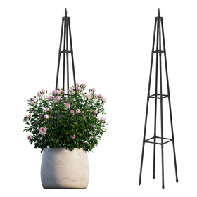 Hsundries Obelisk Trellis front view demonstrates space-saving vertical support for climbing plants.